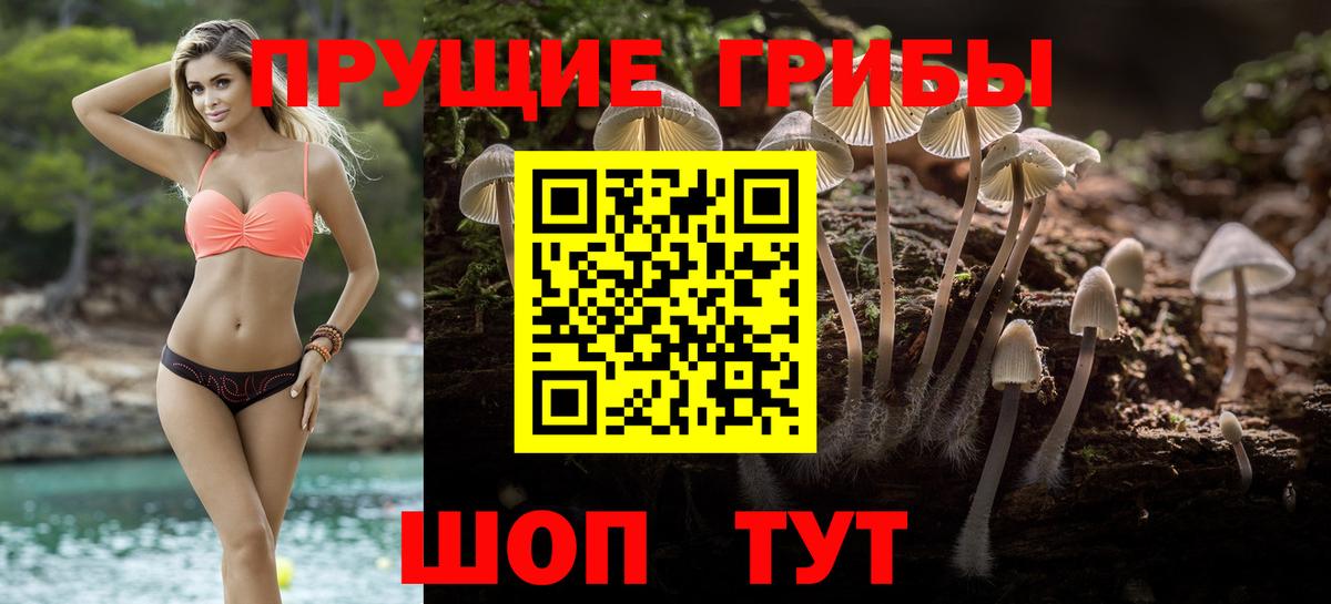 Псилоцибиновые грибы Psilocybe Партизанск